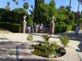 010 Real Alcazar assis dans les jardins